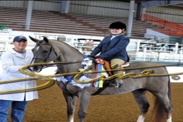 Peyton Hardie on her horse after a competition.
