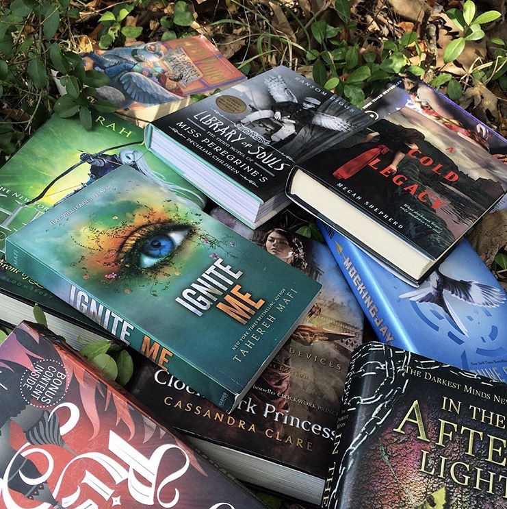 Junior Bailey Spencers collection of books lays in a pile on the dirt ground. Ever since her dad bought a 500 paged fantasy novel, she has been obsessed with books. 