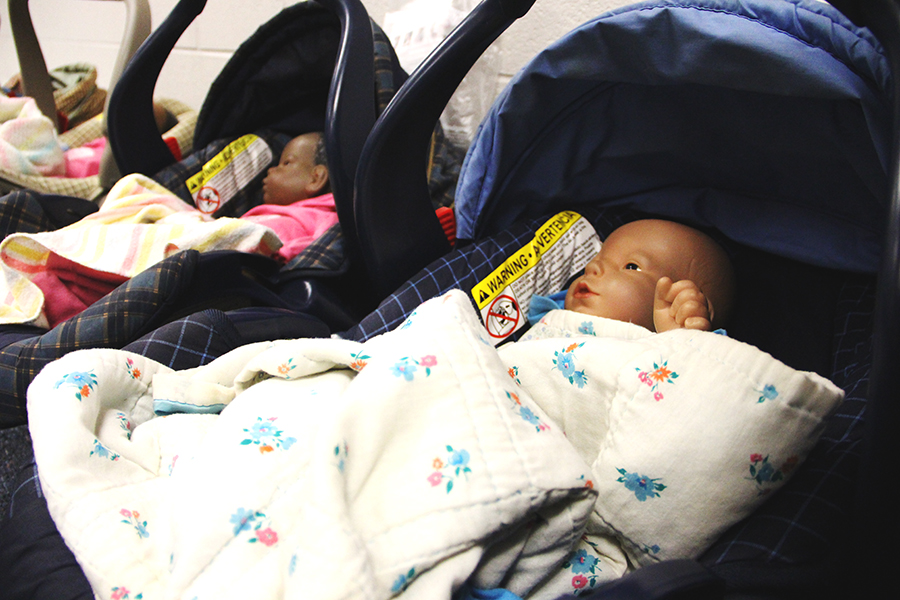 Students in Dalinda Cassels child development class are using Real Care babies. The baby dolls are set to cry for various reasons to teach the students the joys of parenthood. 