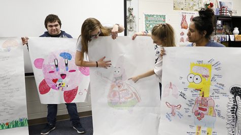 Health Science Class Creates Anatomy Posters