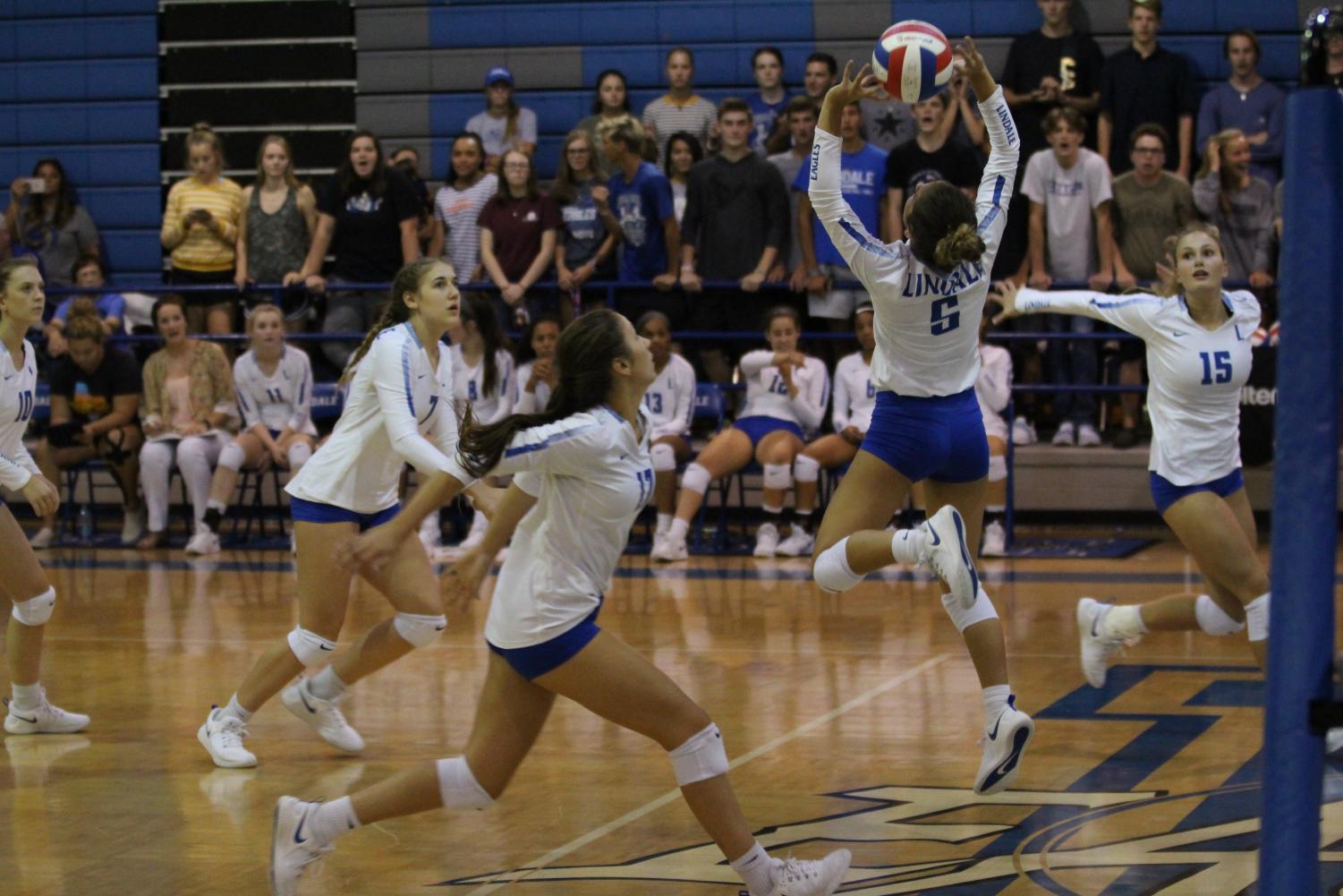 Junior Harleigh Thurman sets the ball as sophomore Shelbi Steen, junior London Reue and senior Brina Kuslak get ready to spike the ball over the net. The Lady Eagles won the Tyler tournament with an undefeated record of 6-0.