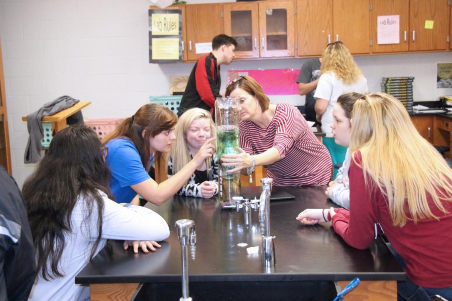 Students study aquarium with Kim Saunders. They were given the project to study sustainability of ecosystems. 
