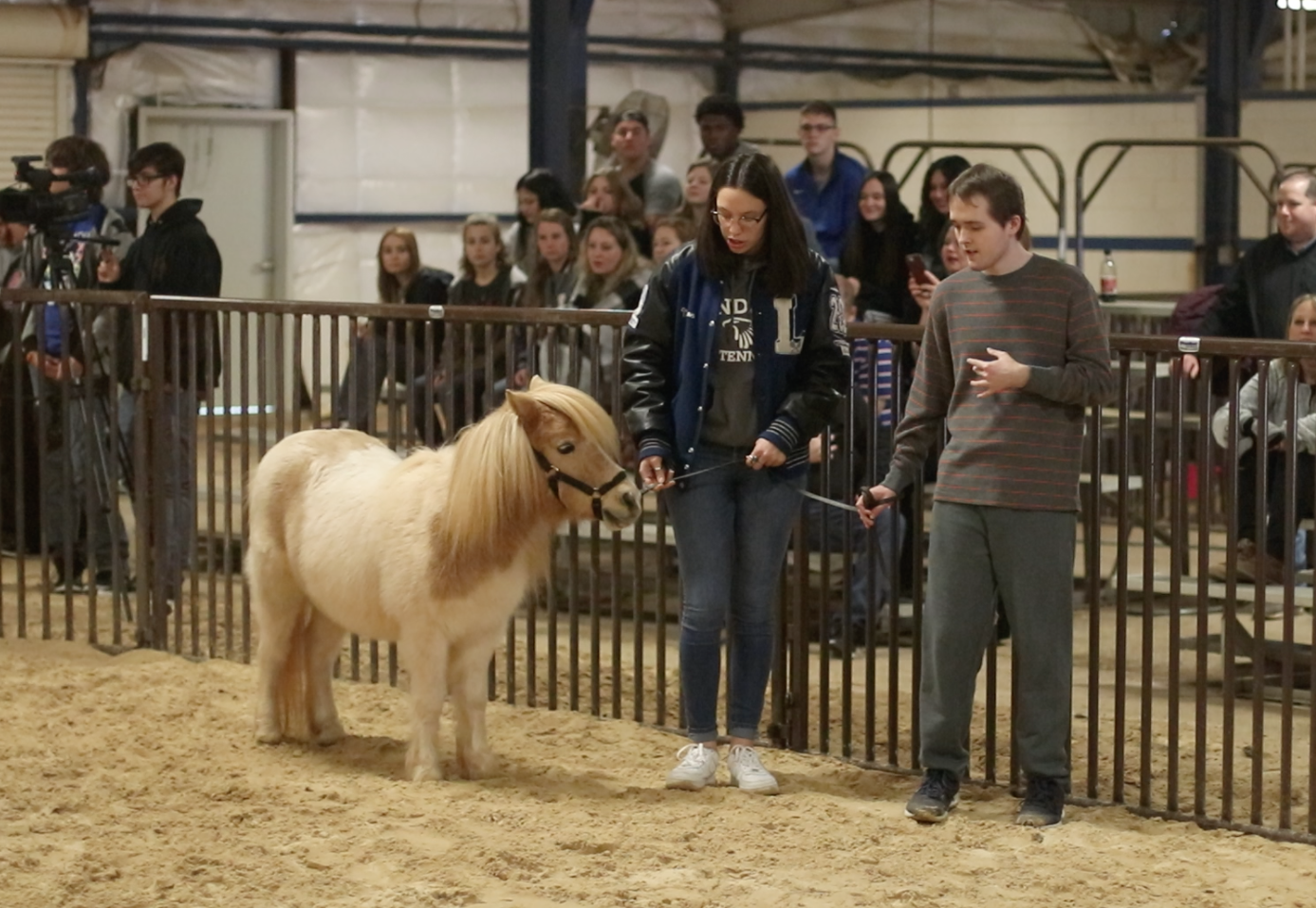 Madison Ortiz and Ben Zimmerman lead Bonnie, the miniature horse. The CBI class attends the annual miniature horse contest.