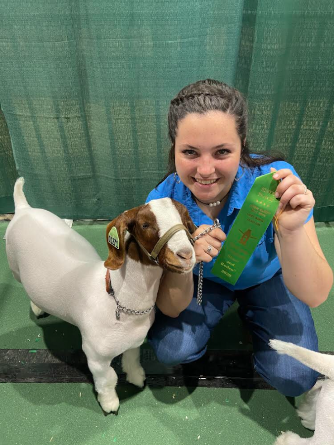Sophomore Brooklyn Gilleland poses with her goat for a picture. This was before the Houston FFA Livestock Show was canceled.