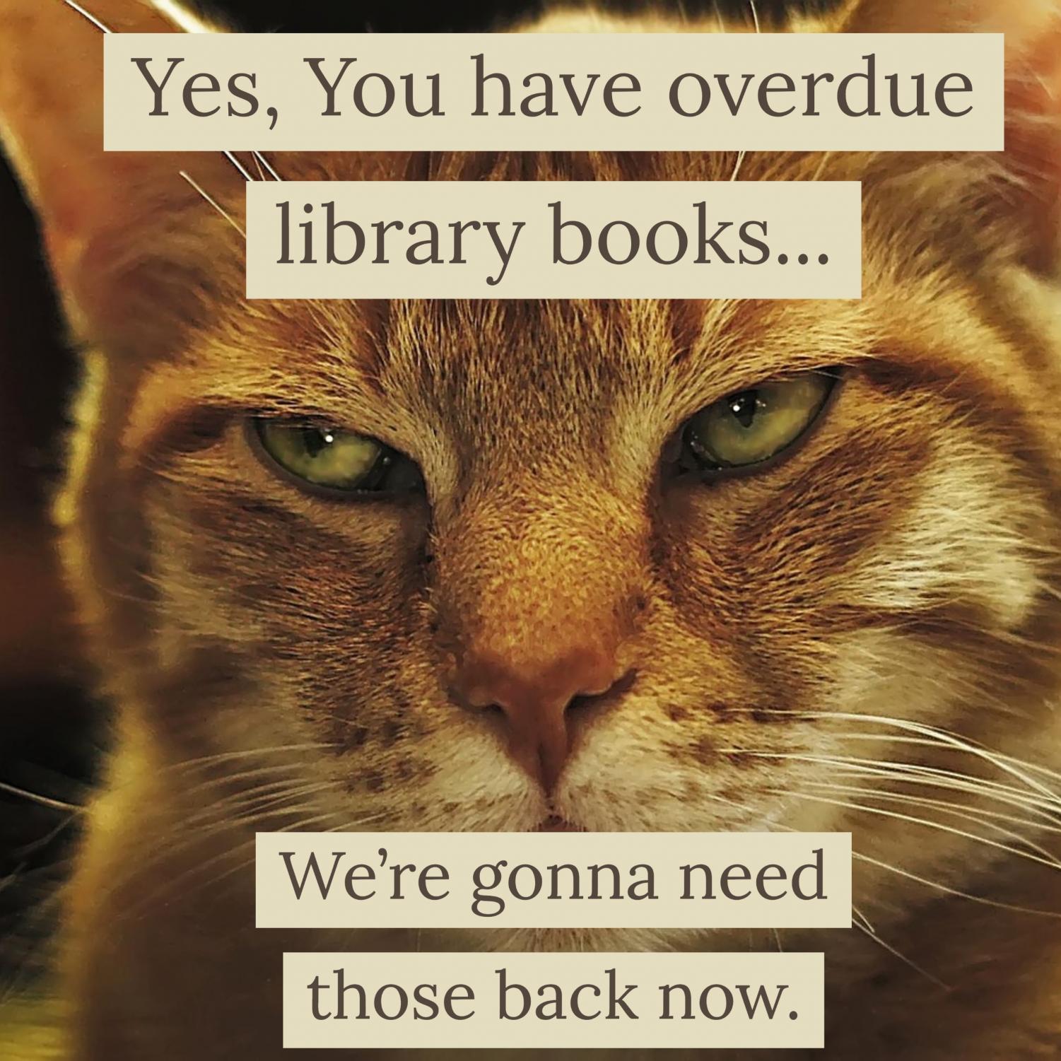 Library Enacts New Policy Regarding Overdue Books