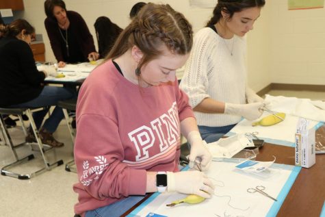 Students in Sally Clemmons' CMA classes prepare for their certification test by practicing sutures on fruit. This photo was taken before the Covid-19 crisis closed down the schools.