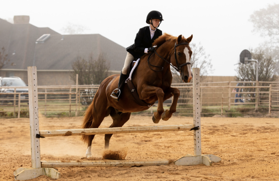 Two Freshman Compete in Equestrian Events