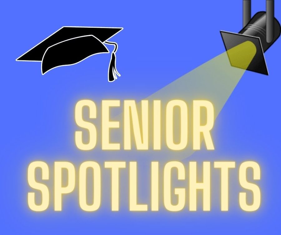 Senior Spotlights
