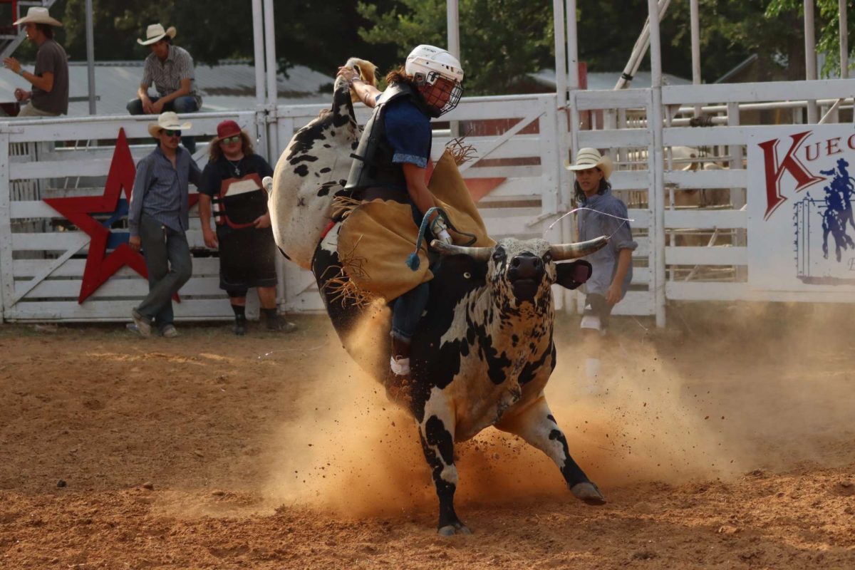 Freshman Ricardo Fuentes rides a bull. This was during a rodeo competition, and he is wearing protective padding. Photo courtesy of Ricardo Fuentes.
