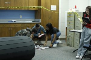 Law Enforcement 1 students investigate a mock crime scene. 